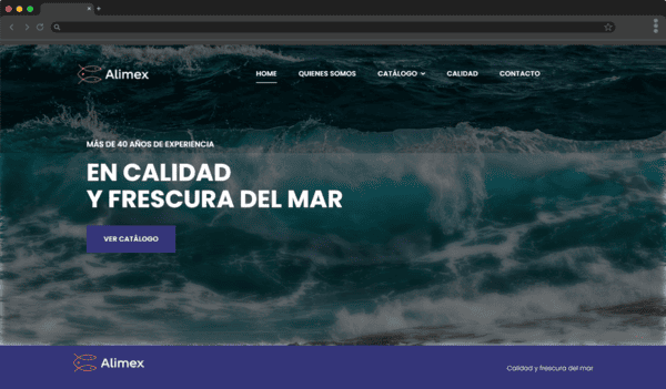 alimex-portfolio-web